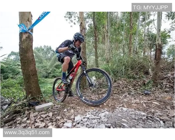 武汉极限运动队荣登极限运动战术排行榜第一名的辉煌成就 武汉极限运动队荣登极限运动战术排行榜第一名的辉煌成就