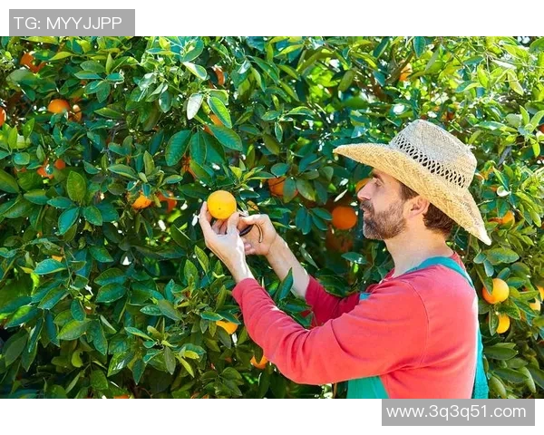 果园采摘之旅：畅享自然馈赠与丰收的快乐体验